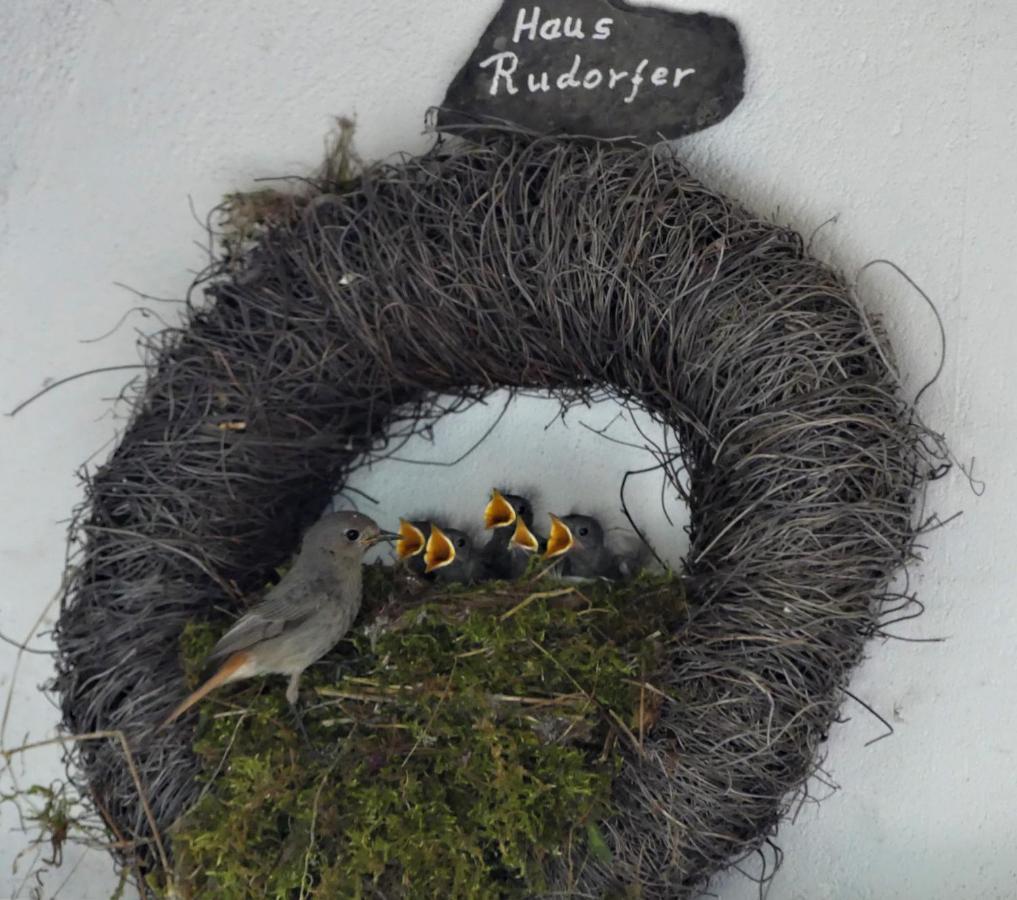 Hotel Ferienweingut Rudorfer à Valwig Extérieur photo