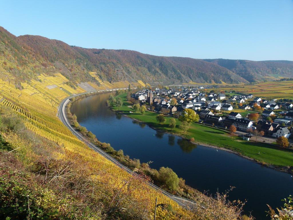 Hotel Ferienweingut Rudorfer à Valwig Extérieur photo