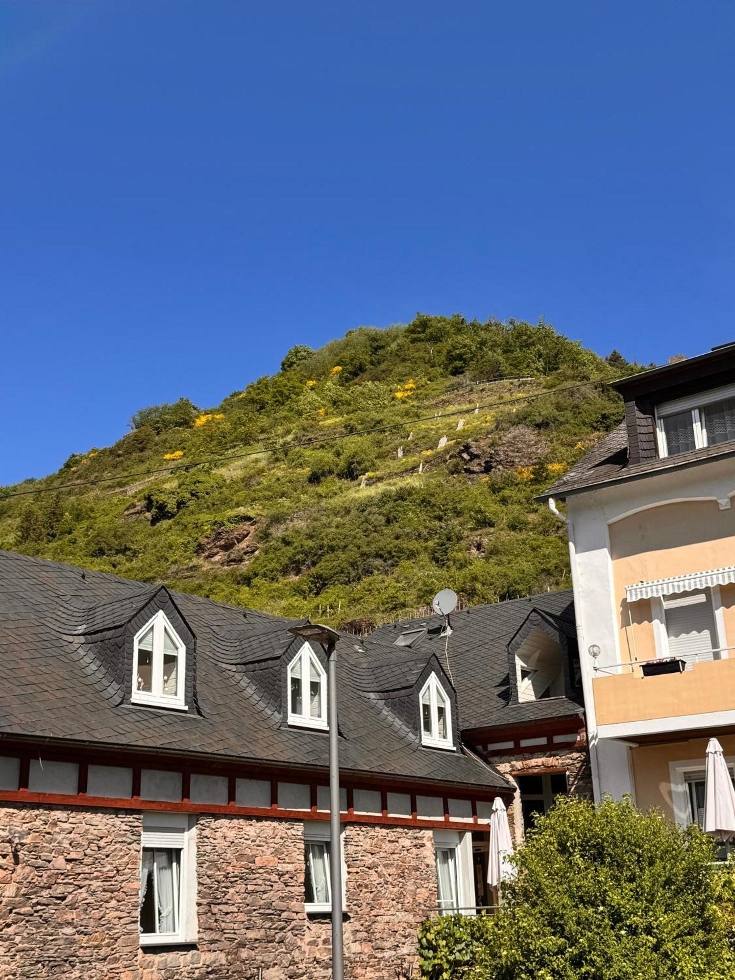 Hotel Ferienweingut Rudorfer à Valwig Chambre photo