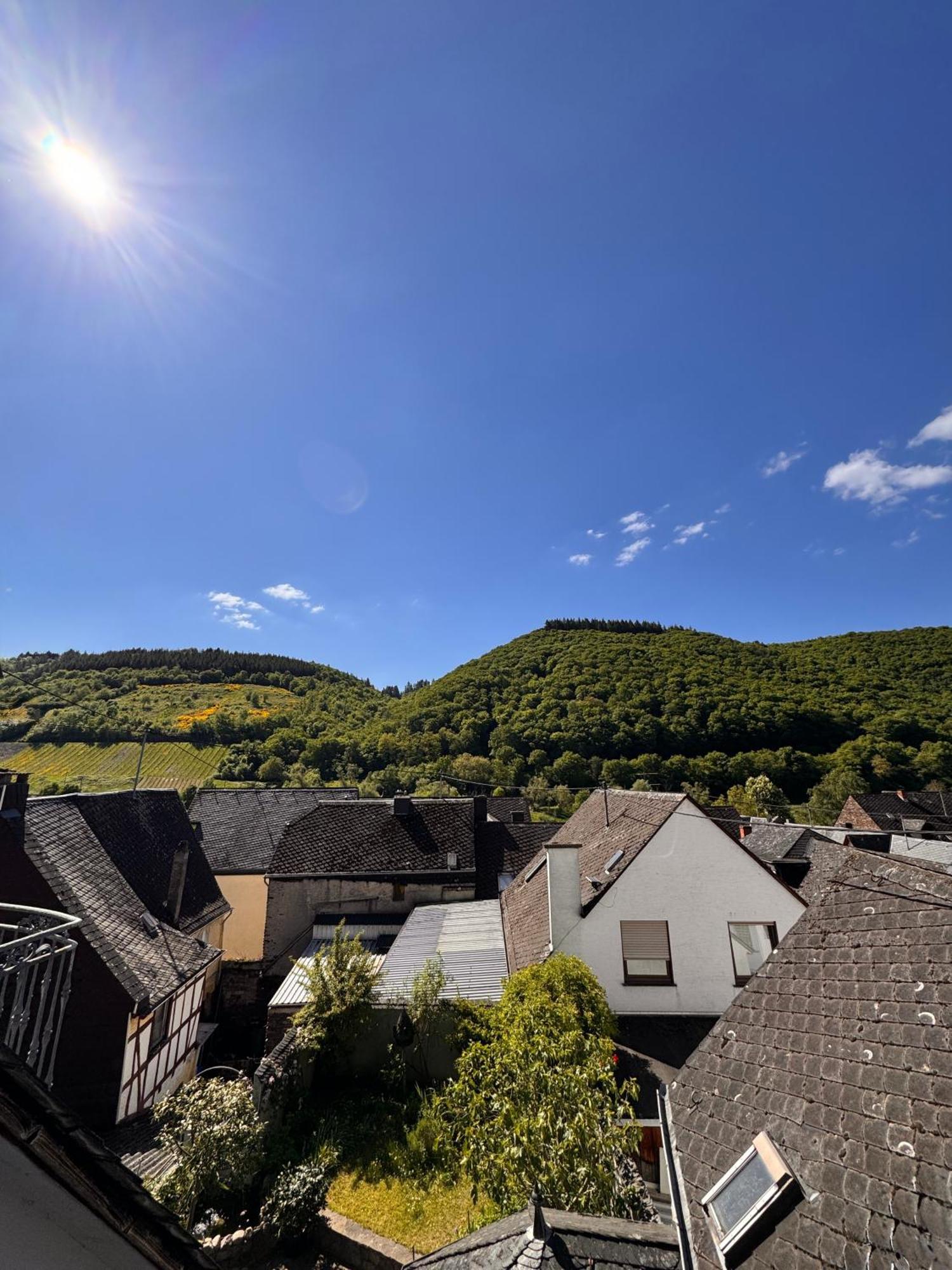 Hotel Ferienweingut Rudorfer à Valwig Chambre photo