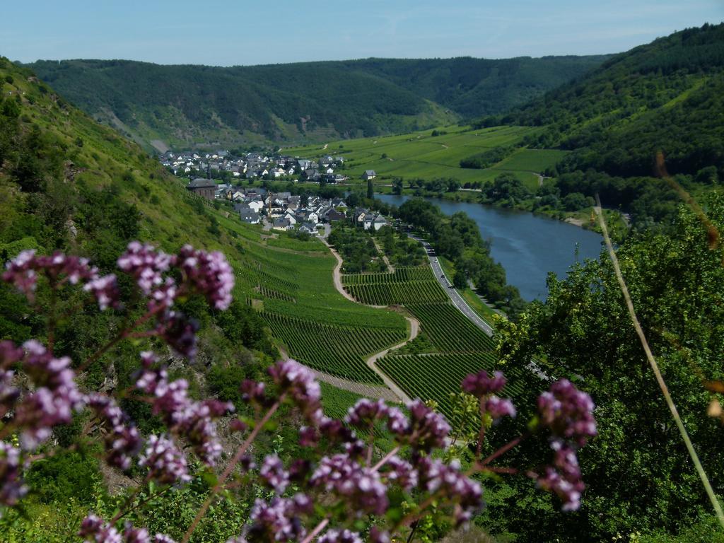 Hotel Ferienweingut Rudorfer à Valwig Extérieur photo